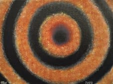 "Rings" de Olha Nazarenko sur art24