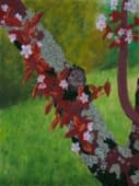 "Cherry Tree" de Alexia Vernier sur art24