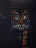"Tiger" von M.Näf auf art24