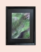 "Awakening S1" von KDT art Beyond canvas - art that speaks to you auf art24