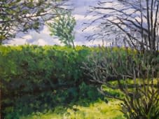 "Jardin par grand vent" by balivet on art24