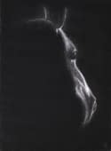 "Pferd von der Seite" by Christopher Baumann on art24