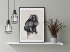 "Gelada 2" de Rémy Sant sur art24