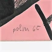 Bruno Polver