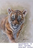 "50. Tiger Baby" de Hans Jakob sur art24