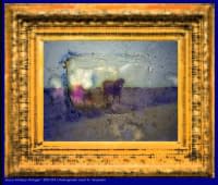 "Vaca Alentejo" von Josef H. Neumann auf art24
