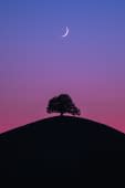 "Moonset over Hirzel" von Benjamin Barakat auf art24