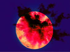 "PIANTO DI LUNA" by JOHNNY on art24