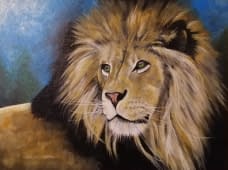 "Wild Expresions" by Carlos Cabral on art24