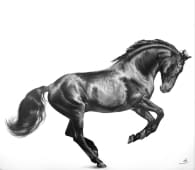 "Timeless Grace" by MW Tierportraits on art24