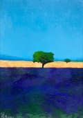 "Chaleur et immensité en Provence" von Philipp H. Schmid auf art24
