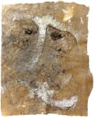 "Scimmia di Pillar" by Andrea Benetti on art24