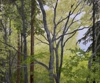 "Renouveau" de Patrick Egger sur art24