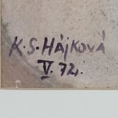 Kamila Sára Hájková