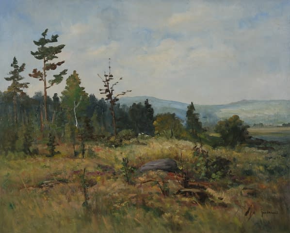 Image 1 of the artwork "Waldlichte bei Maskovice" by Jan Sklenar on art24