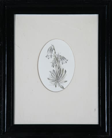 Image 1 of the artwork "Blumen" by Jarmila Chytilová Svojanovská on art24