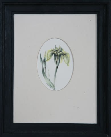 Bild 1 des Kunstwerks "Blumen" von Jarmila Chytilová Svojanovská auf art24