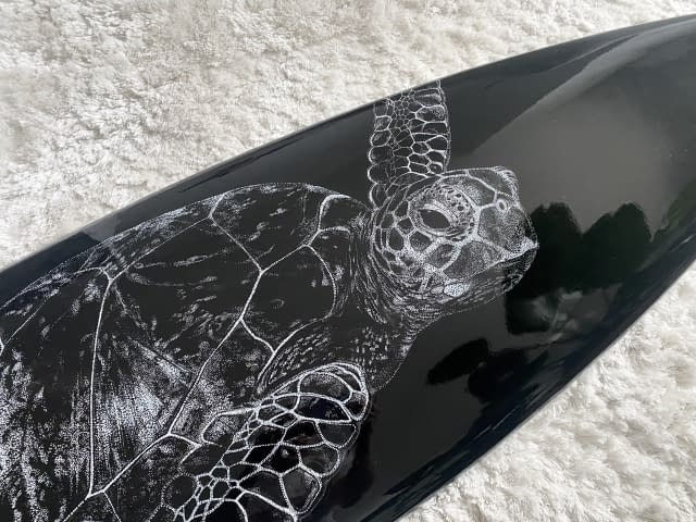 Image 2 of the artwork "Turtle" by Karin Studer on art24