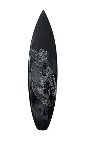 Image 1 of the artwork "Turtle" by Karin Studer on art24