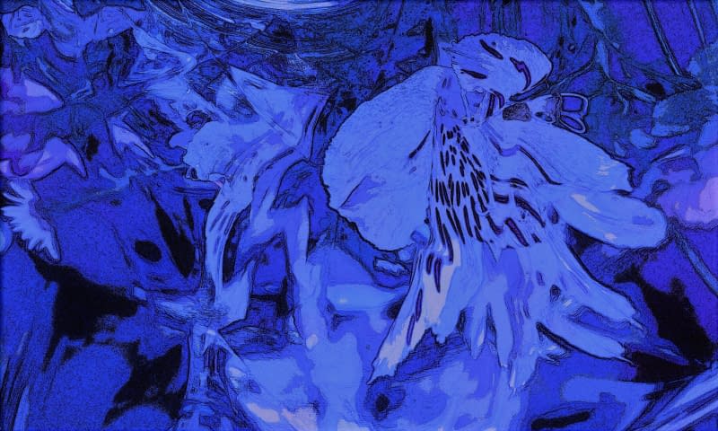 Image 1 de l'œuvre "Blue Fantasy" par Renata Srebro sur art24