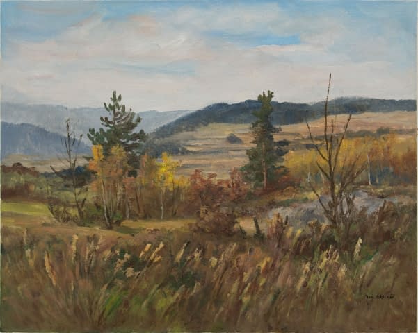 Image 1 of the artwork "Landschaft bei Netvořice" by Jan Sklenar on art24