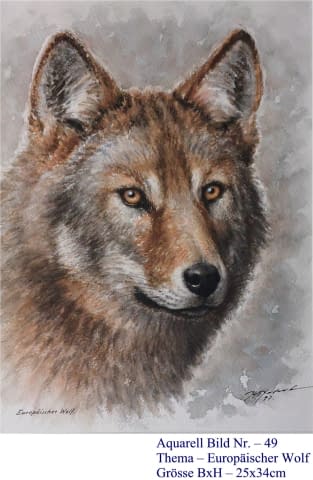 Image 1 of the artwork "49. Europäischer Wolf" by Hans Jakob on art24