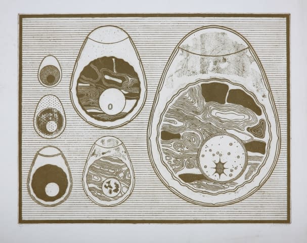 Image 1 of the artwork "Eier 6/10" by Jaroslava Severová on art24