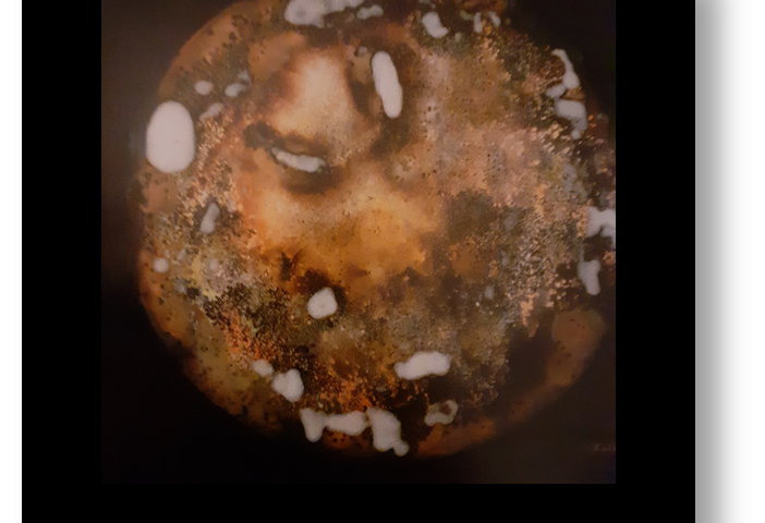 Hintergrundbild