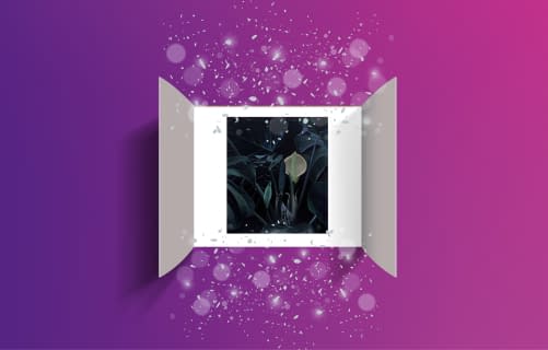 05.12.2023: Leckeres Monster