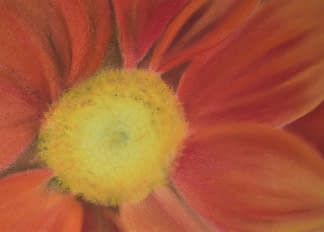 "Blumendetail" von Angela Roos-Maguire auf art24
