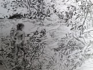 "Naturelle" by Emmanuelle Tenailleau on art24