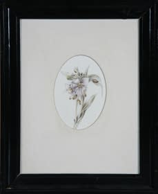 "Blumen" by Jarmila Chytilová Svojanovská on art24
