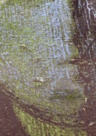 "Kék-Zöld Angyal (P) EA 1/1 / Blau-grüner Engel (P) EA 1/1" by János Aknay on art24