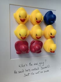 "Who's the new guy? He said he's called Donald .. but I'm not so sure" by T P Hardisty on art24