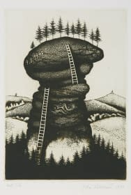 "Felsen mit Leitern" by Jitka Walterová on art24