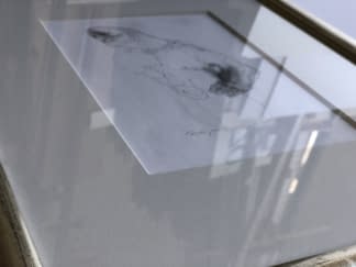 "Akt rajz XI./ Akt Zeichnung XI." von Ruttkay Sándor auf art24