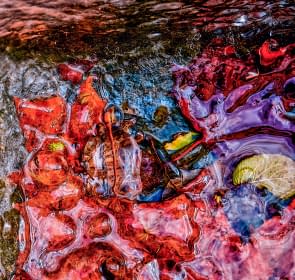 "Vestiges glacés de l'automne" by Sylvain Blanchoud on art24