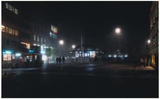 "Entre chiens et loups , Neuchâtel" by Sylvain Blanchoud on art24