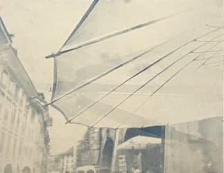 "Sonnenschirm" by Tomás Fischer on art24