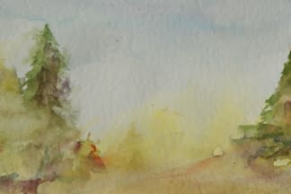"Sun Floods the Forest (Deutsch Sonne überflutet den Wald)" von Angela Roos-Maguire auf art24
