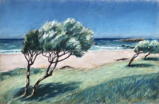 "Cape Town Trees" de Daria Startseva sur art24