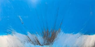 "Eine Laune der Natur" by Andreas Halbleib on art24