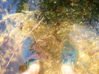 "Wasserschuhe" by Euphor on art24