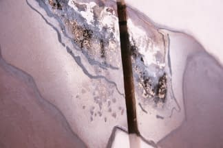 "Diptychon in Lederoptik" by Claudia Frozza on art24