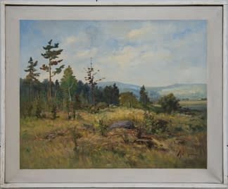 "Waldlichte bei Maskovice" de Jan Sklenar sur art24
