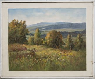 "Landschaft bei Vysoký Újezd" de Jan Sklenar sur art24