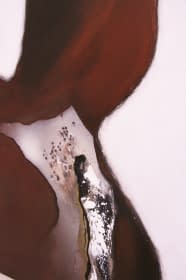 "Diptychon in Lederoptik" de Claudia Frozza sur art24