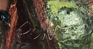 "Lovak/Pferde" de Pasaréti Csepeli Varró Németh Miklós sur art24