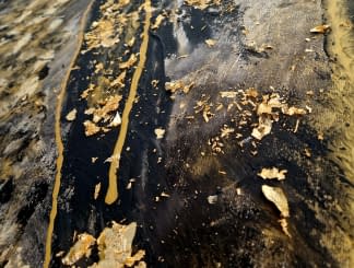 "Black meets Gold II" de Art by Tina N. sur art24