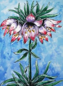 "Blume" by Maximilian Hilpert on art24